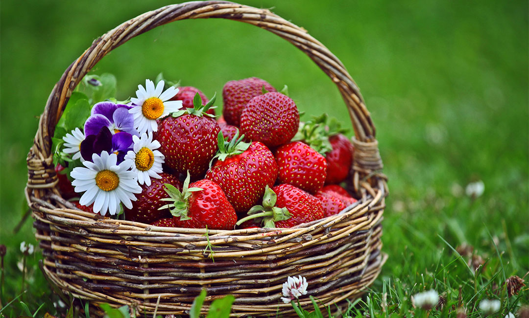 铁岭点呀点水果电商APP开发案例